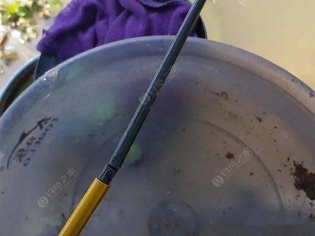 鱼竿断节怎么修复详细教程奉上看一遍就能拯救废鱼竿