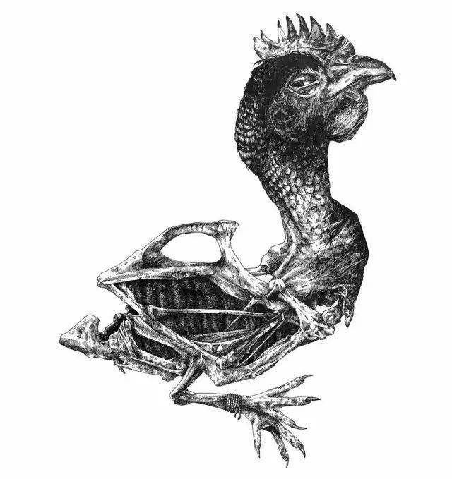 速写 | 素描 | 插画 | 漫画 | 水彩 | 彩铅 | 色粉 | 禅绕画钢笔画