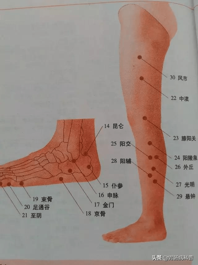 下肢穴位 下肢穴位（腿部内侧） 下肢脚部穴位 脚掌脚心穴位 返回搜狐，查看更多