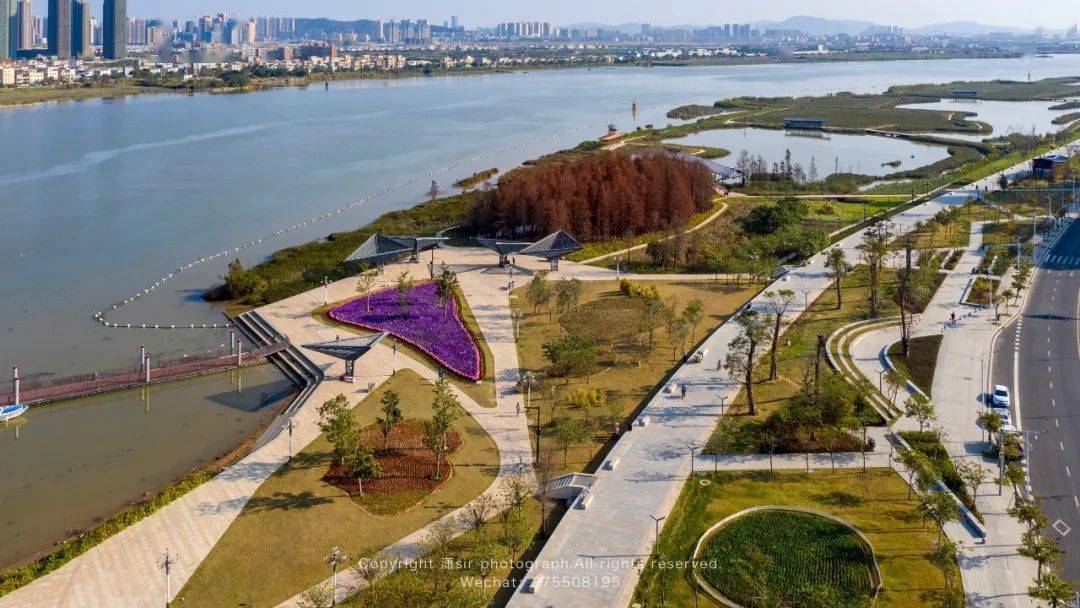 陈伟霆空降珠海?就在这里!_斗门_生活_公园