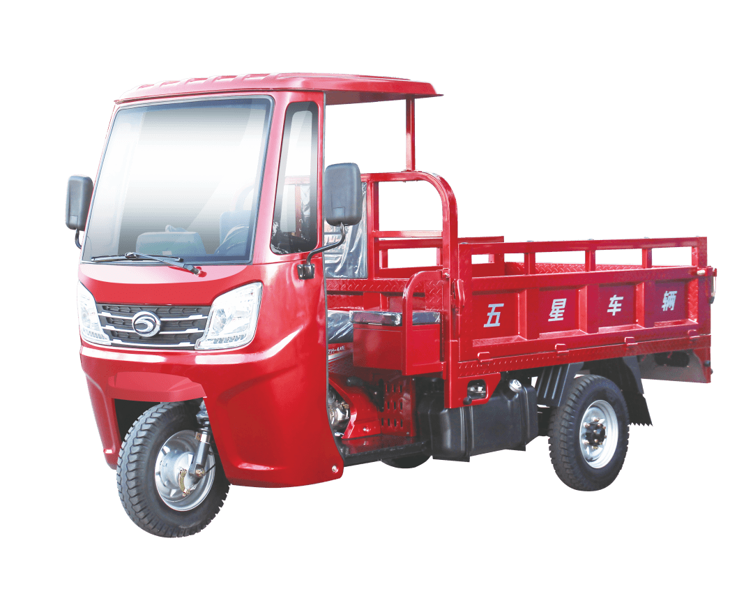 2021中国三轮车年度车型