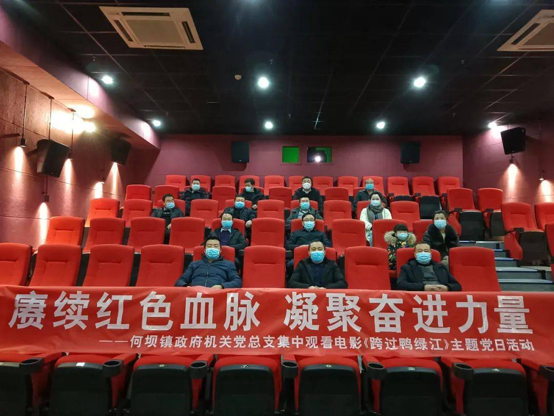 重温革命精神传承红色血脉何坝镇组织政府机关党员干部观看红色电影