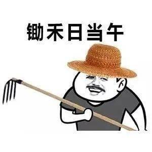 2c92375589ef468a8099504ec205e0e8.jpeg