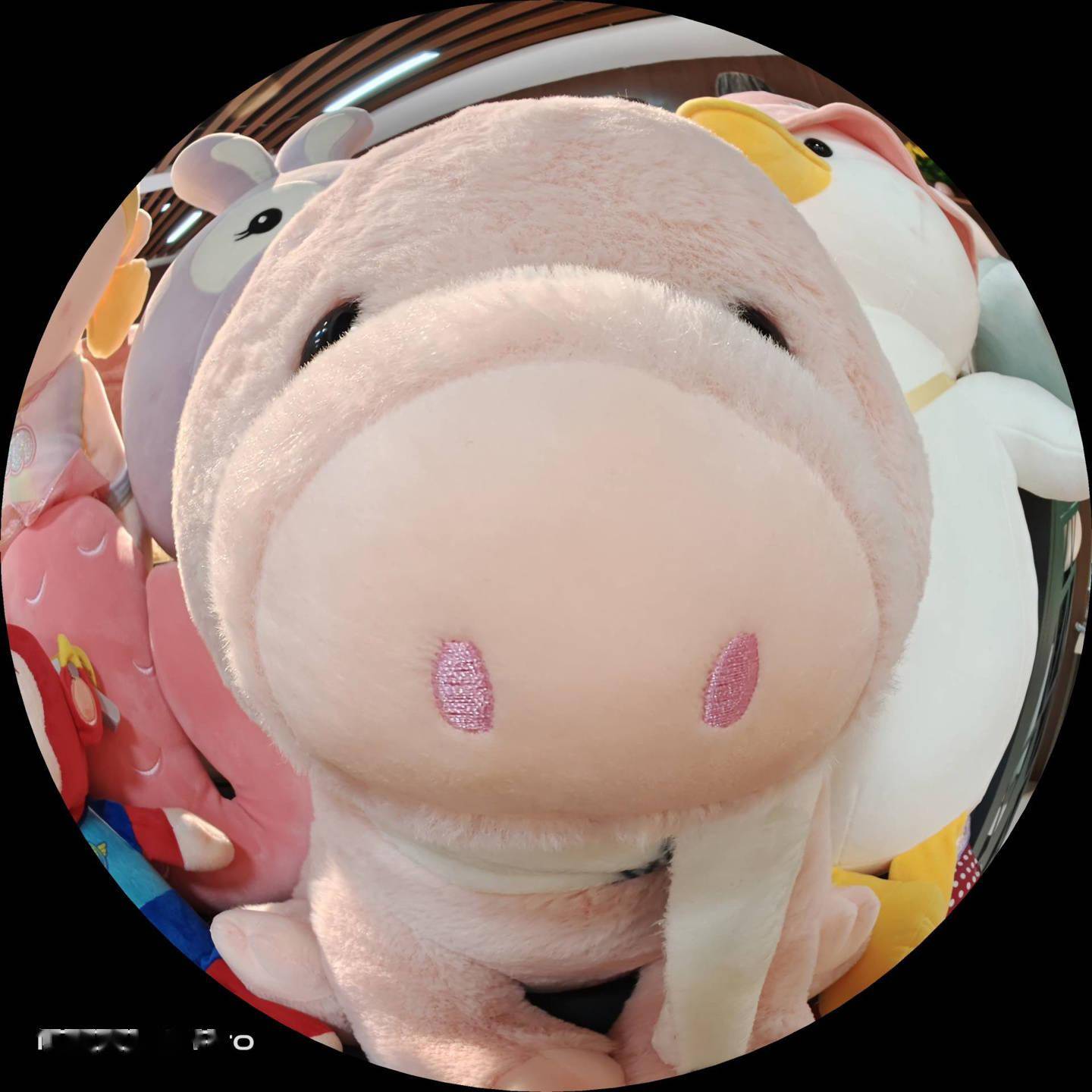 iQOO9 Pro 影像体验：首发三星 GN5，定格精彩瞬间