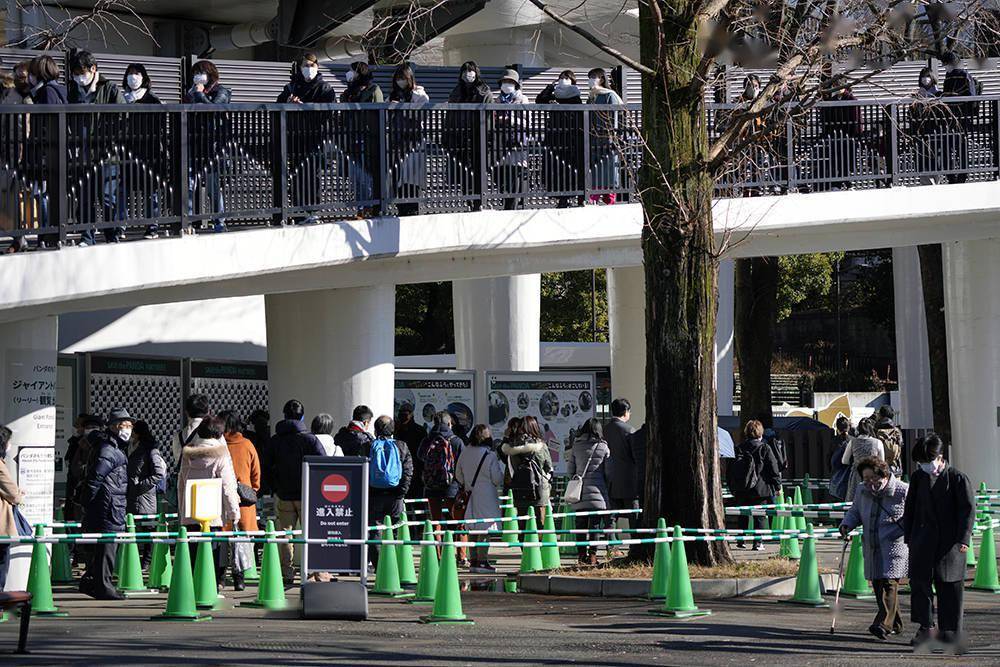 早安·世界｜日本东京上野动物园：双胞胎大熊猫首次公开亮相