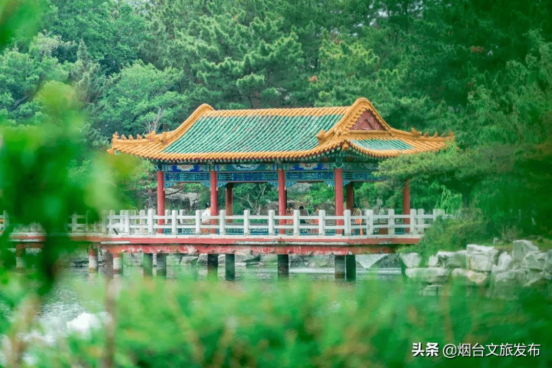 海鸥|海鸥、大海，来一场浪漫的邂逅吧！一起走进仙境蓬莱贺年会——滨海鸥遇蓝色游?