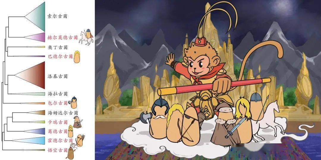 孙悟空！登上 Nature ！