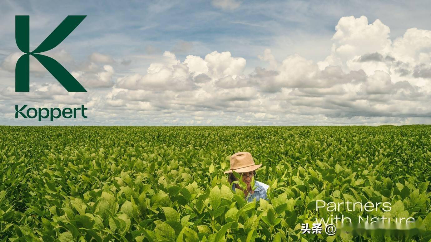 携手大自然荷兰科伯特发布新品牌标识