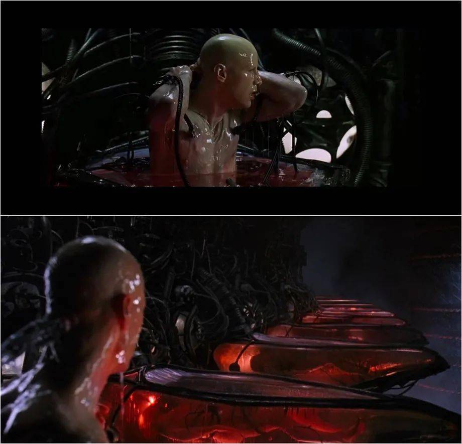 15个关键词带你看懂黑客帝国