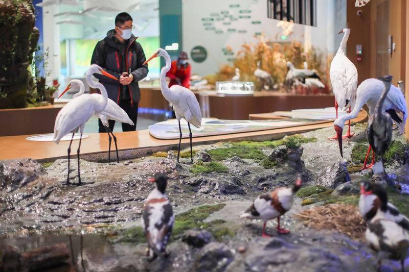 标本|世遗录｜中国黄海湿地博物馆开放，诠释“人与自然和谐共生”