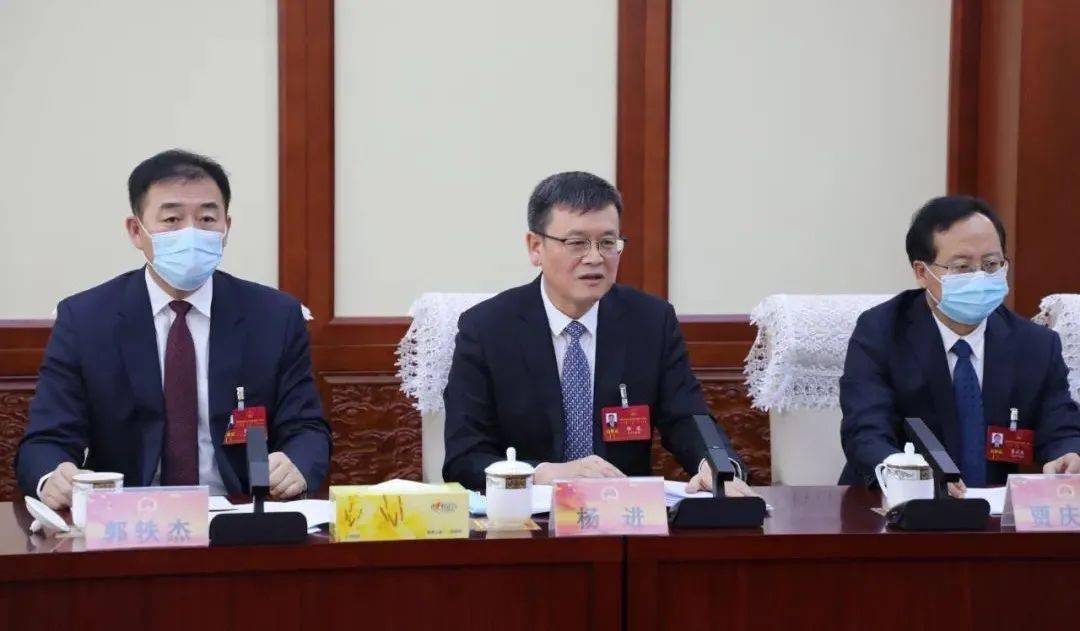 1月14日,市委副书记,代市长杨进分别来到市十届人大一次会议海勃湾