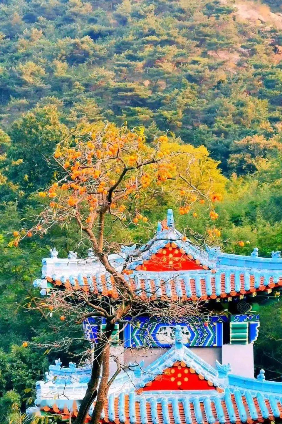 磴山喜鹊谷,你来过了吗?_景区_平安寨_日照
