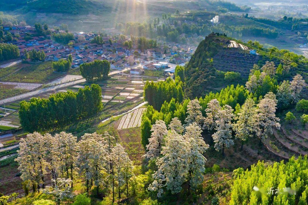 快来领略沂水崔家峪镇的多彩之美