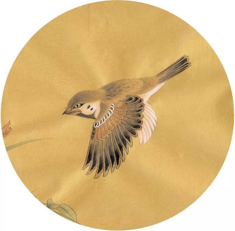 欣赏| 100幅工笔禽鸟,太美了,赶紧收藏!_花鸟画_中国_艺术