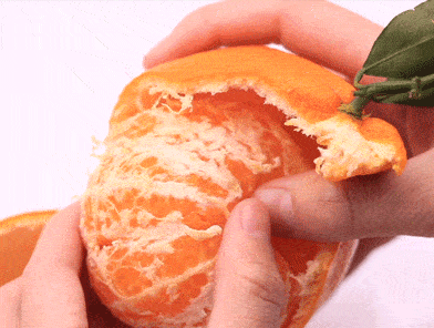 90d78a29f74043d0bc62500d8bc0e84c.gif