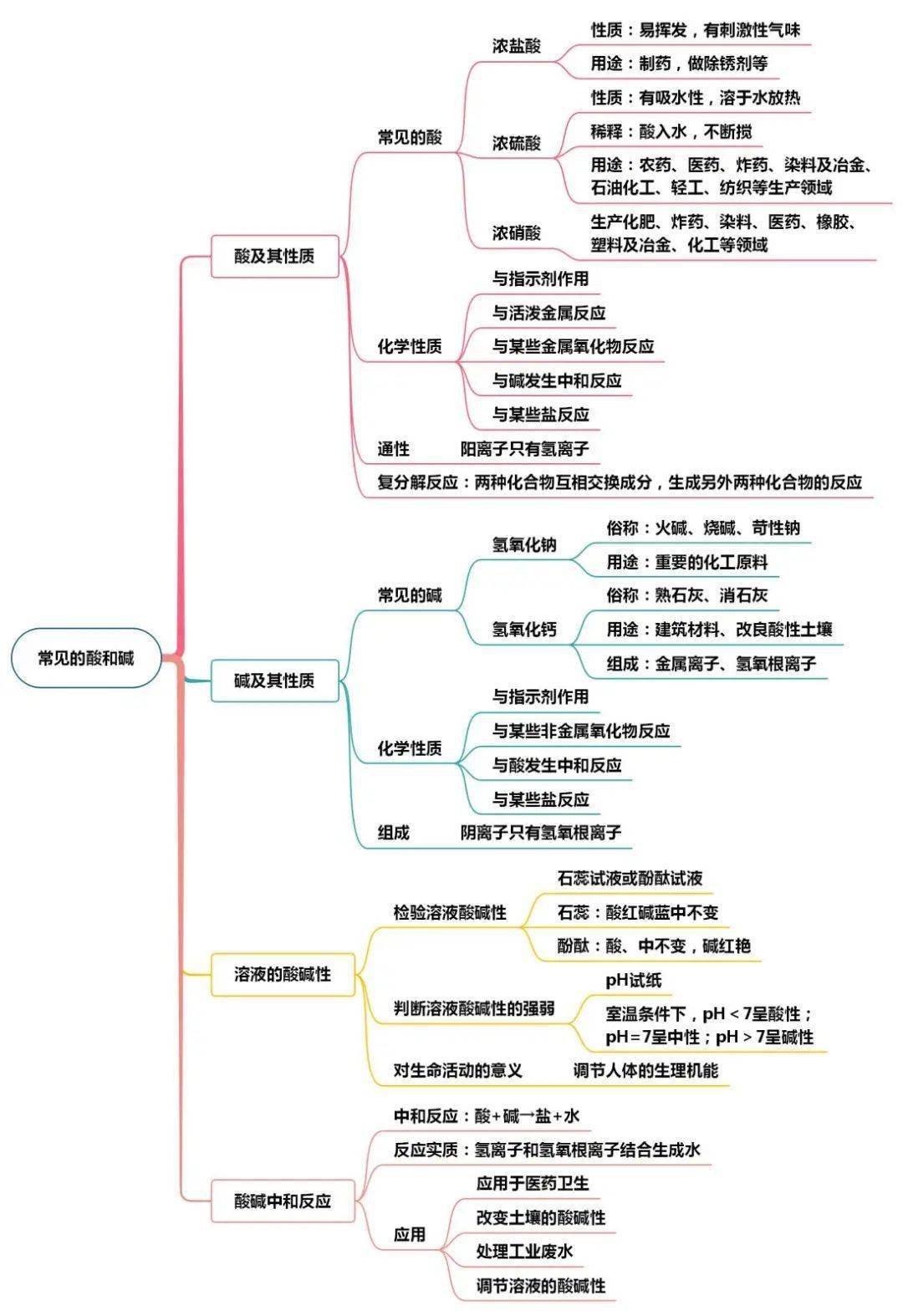 生物内分泌思维导图图片