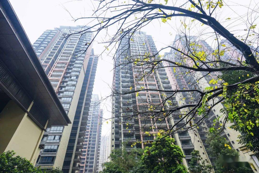 宾阳这个项目一期工程交付,城东区迎来改变!_公园_城建_小区