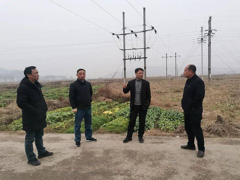农村能源环保办公室负责同志,铅山县农业农村局分管负责同志参加调研
