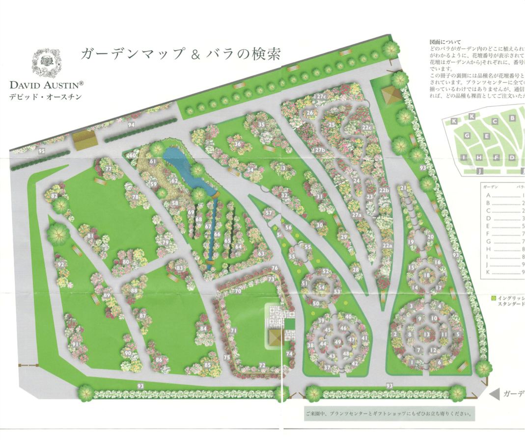 如何打造月季园?只要有条件,一定要尝试!
