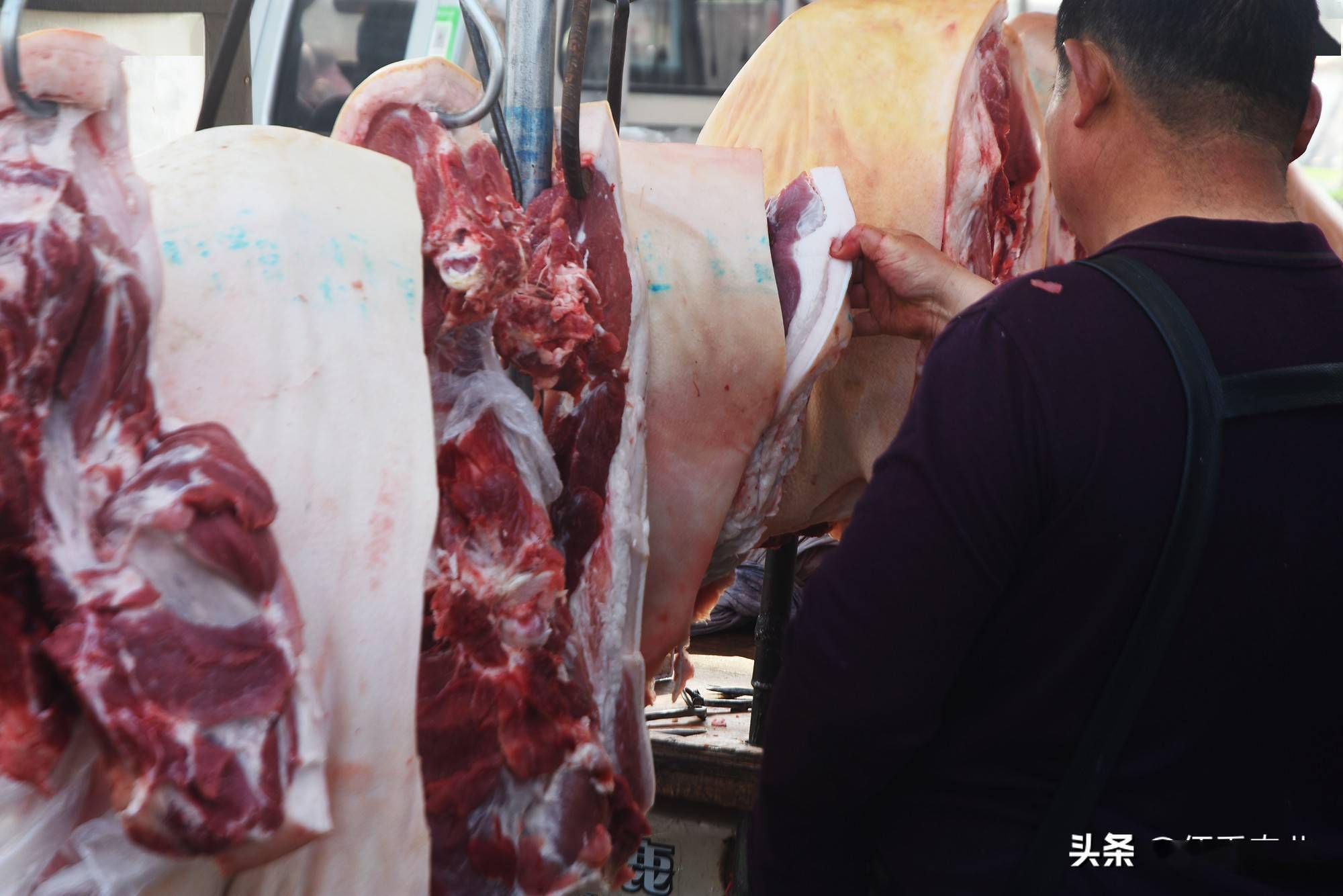 2022年猪肉还会涨价吗 2022猪肉价格走势图