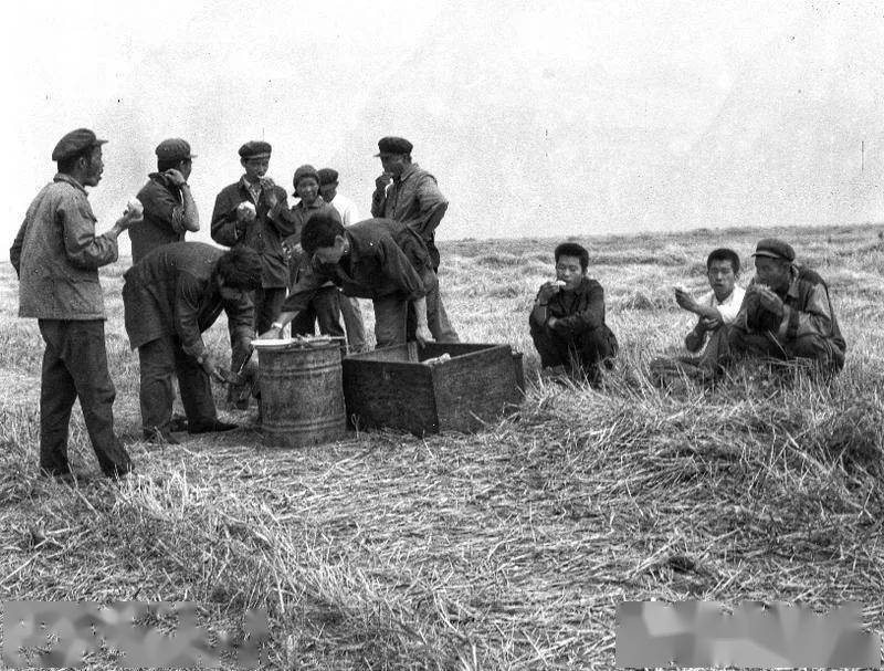 856关注一组来自856农场的老照片轰动国人