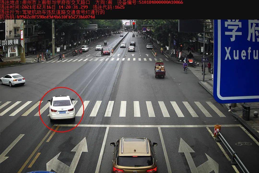 什么时候能看到自己有没有闯红灯 2559686eed2b427bbbf31fca6e75fa33.jpeg