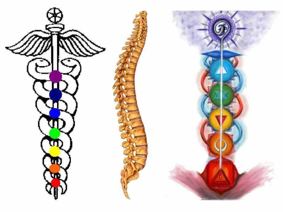每日魔法| 1月18日:启动生命潜能的灵蛇传奇_塔罗_昆达里尼_能量