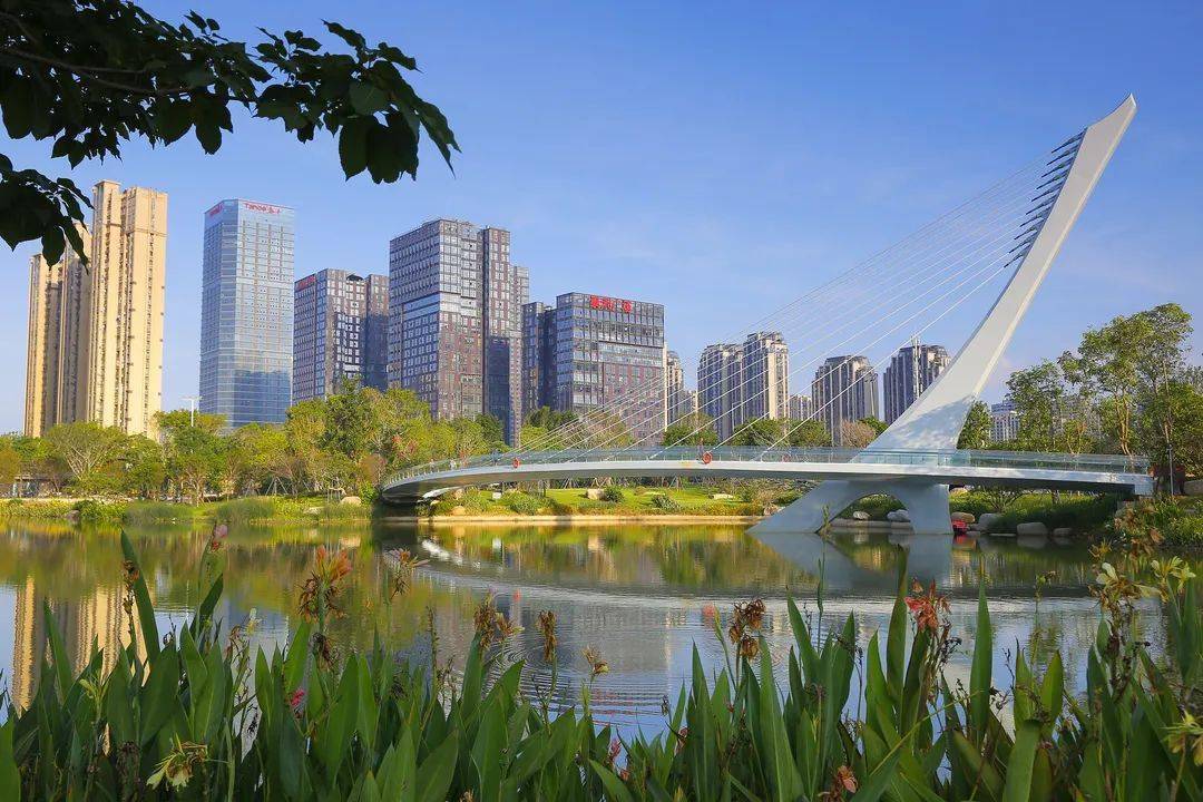 晋安区委书记林涛:加快建设高品质高颜值强省会中心城区!