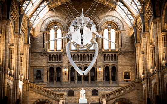 什么是维多利亚时期建筑?_英国_城市形态_时代