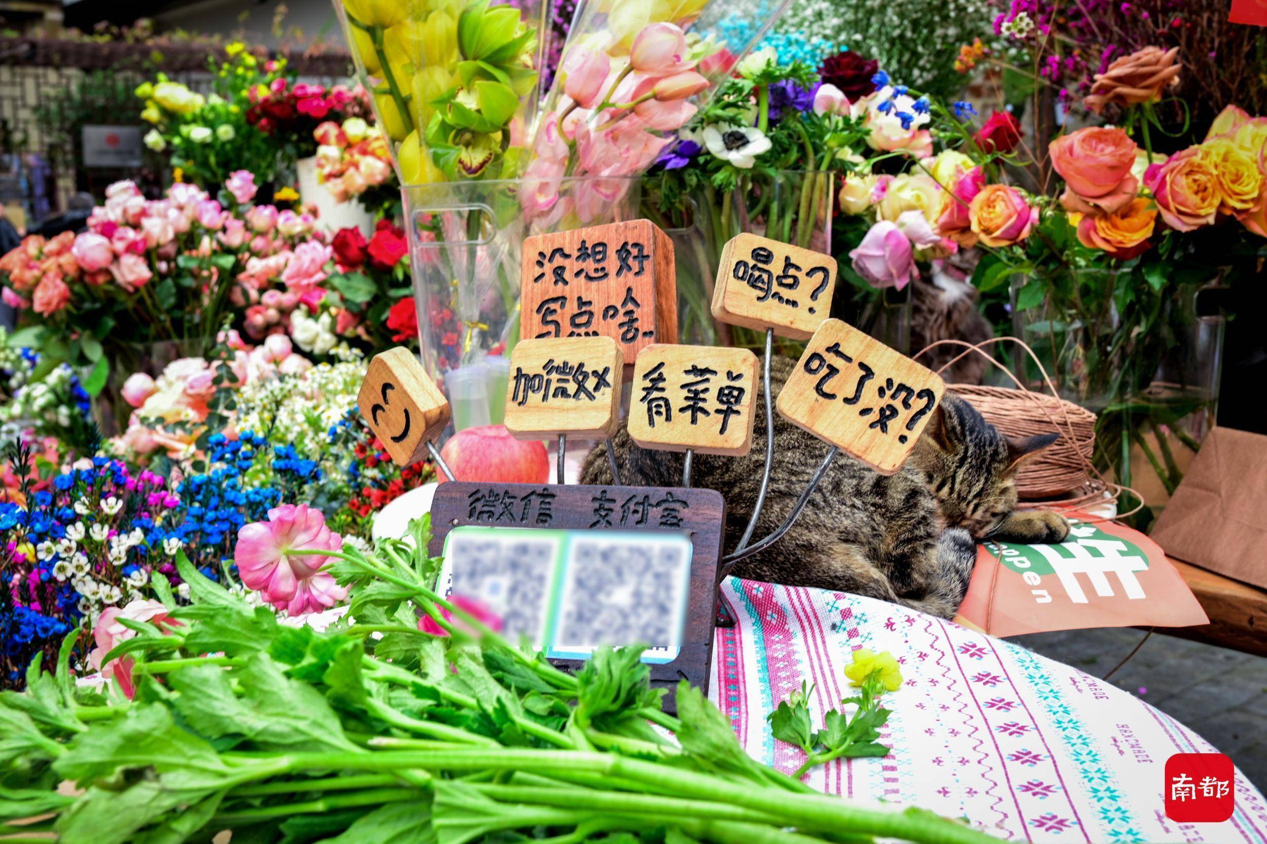 老城区|荔湾有西关，番禺有西坊，格调满满的西坊大院集市你打卡了吗