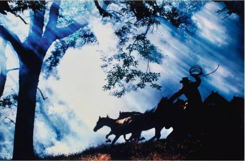 摄影_理查德·普林斯_作品