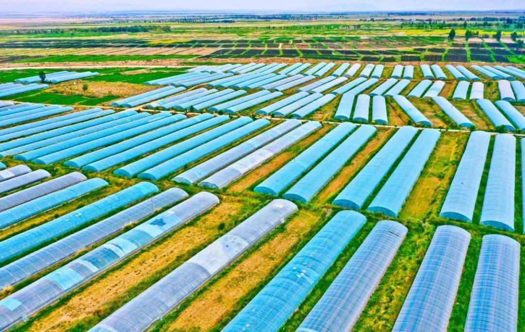 张掖市聚力打造现代农业示范区