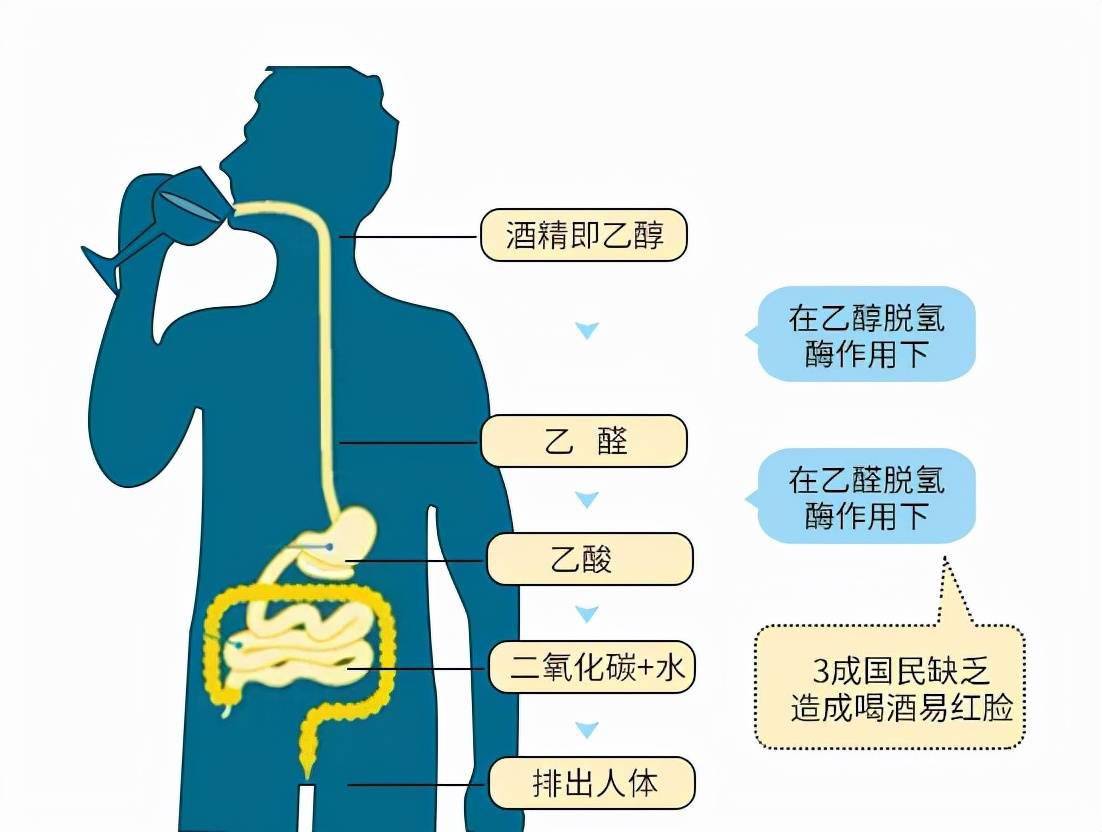 保护明天，从一杯酒开始