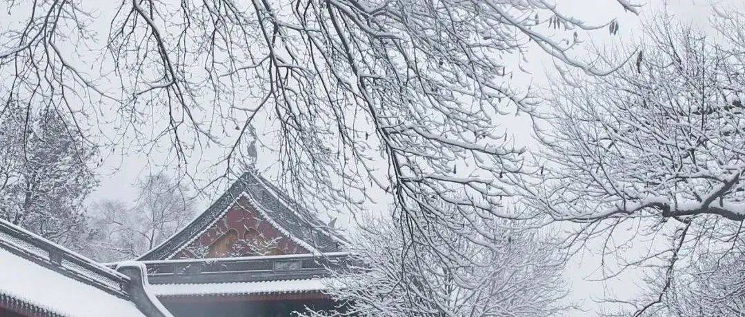 二十四节气｜大寒——岁暮天寒宜思归 免教客子梦魂飞_草木_春水_寒冬
