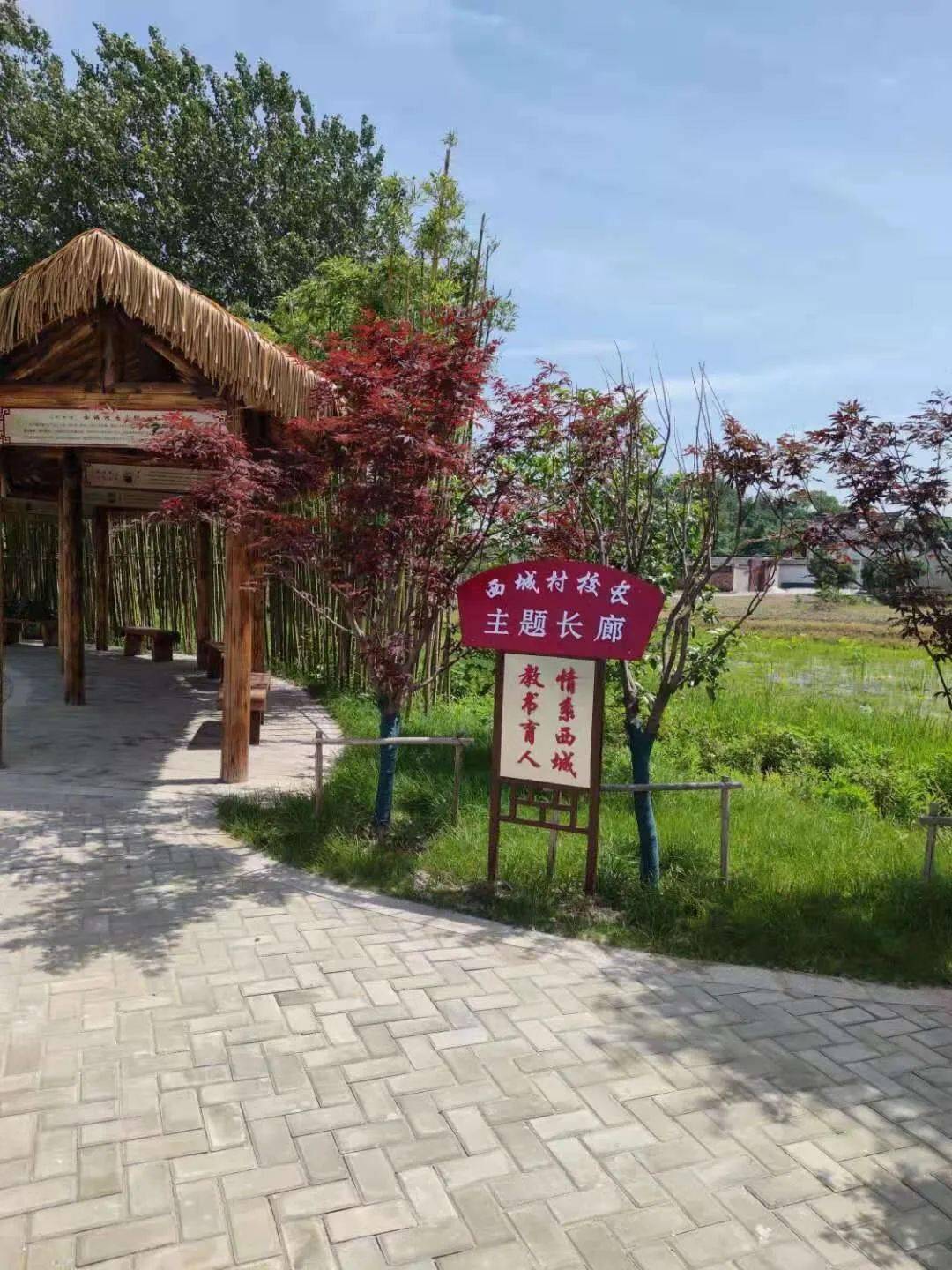 广陵区头桥镇西城村妇联突出建抓强三字诀团结妇女共建美丽家园