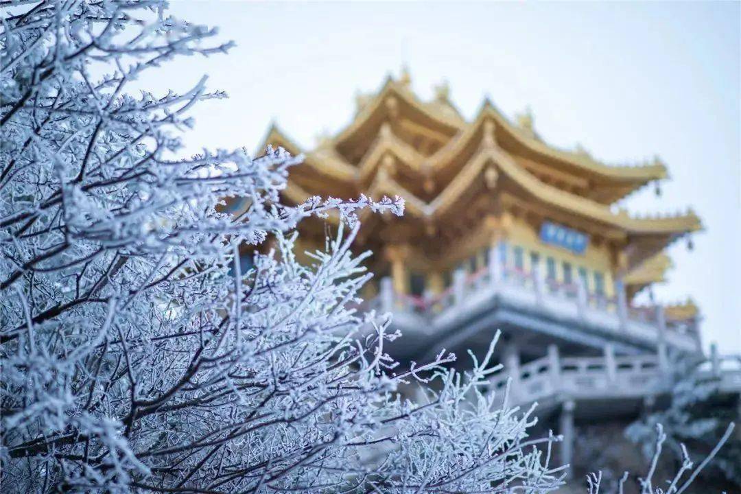 冬季白雪飘扬,老君山经过雪这个设计师的包装,群山接受了冰雪的洗礼