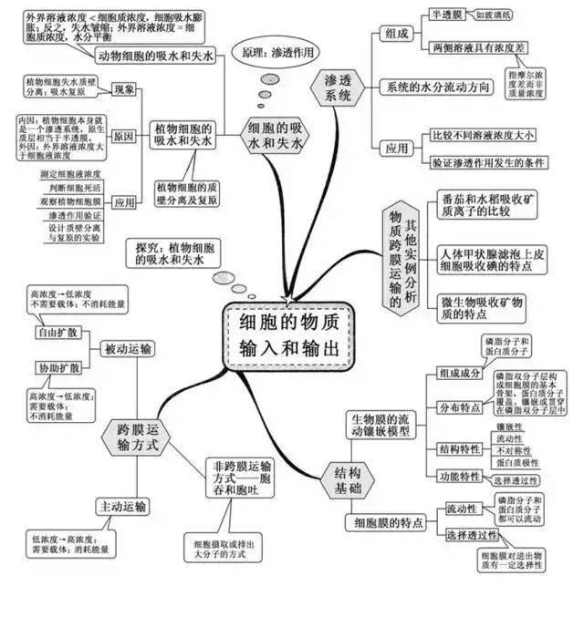 高中|高中九大学科思维导图最全汇总，高中三年都适用！（收藏）