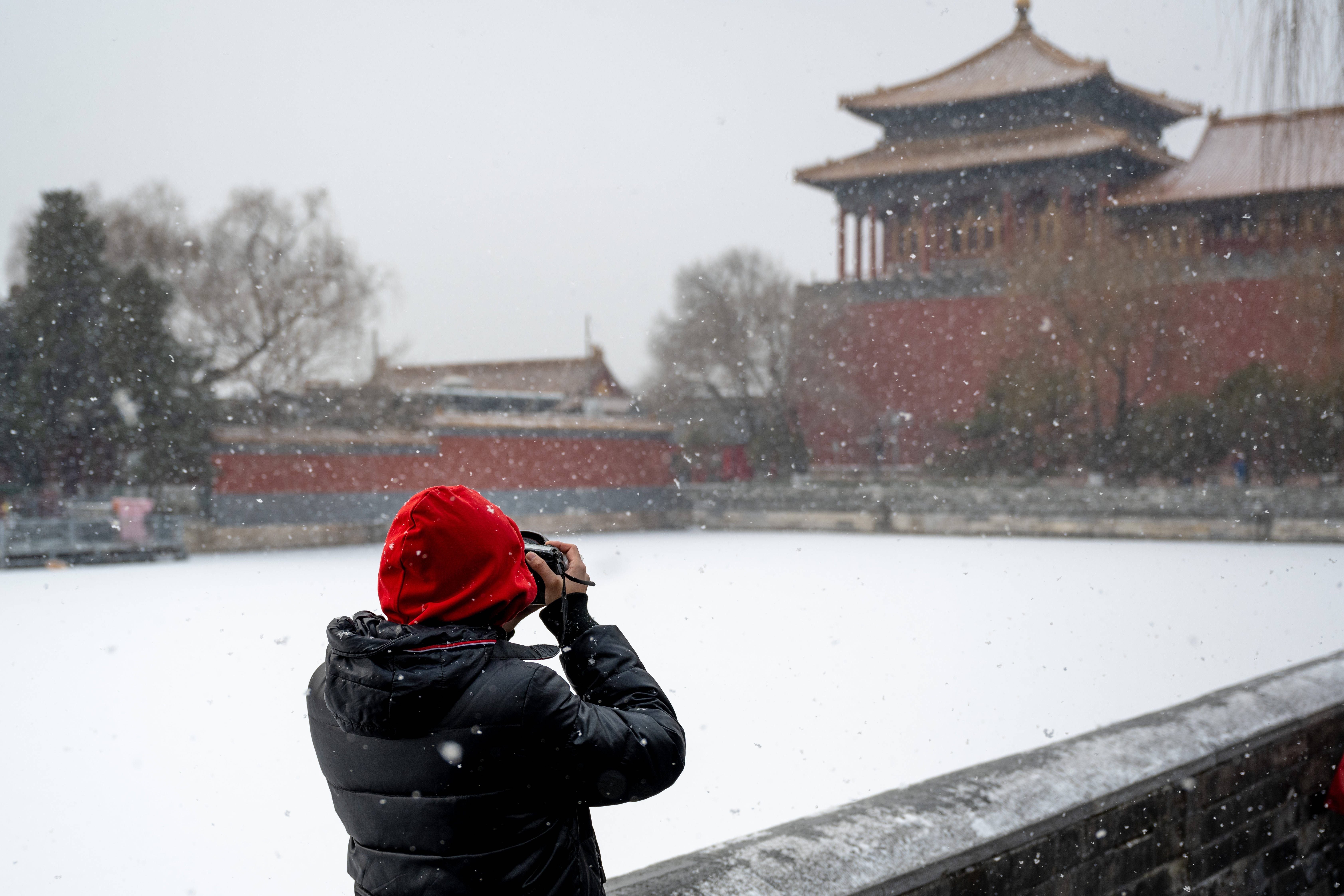 北京下雪了吗2022图片