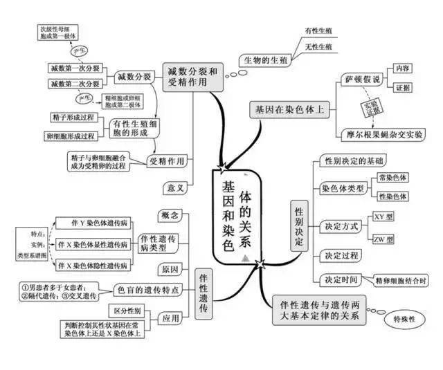高中|高中九大学科思维导图最全汇总，高中三年都适用！（收藏）
