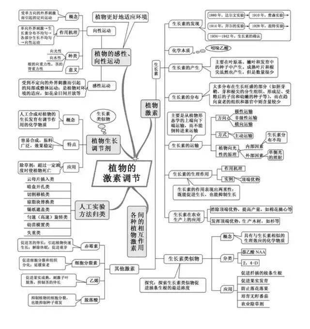 高中|高中九大学科思维导图最全汇总，高中三年都适用！（收藏）