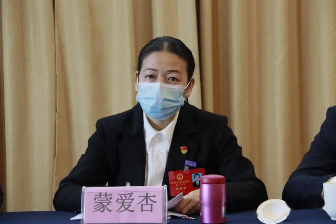 蒙爱杏参加蒙圩镇代表团审议