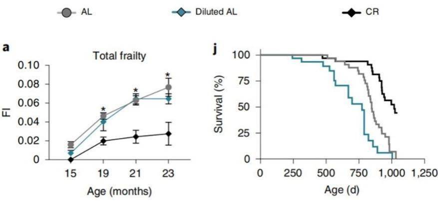 最高120万、最低0成本，这些爆火科技真能让人剩余寿命翻倍吗？