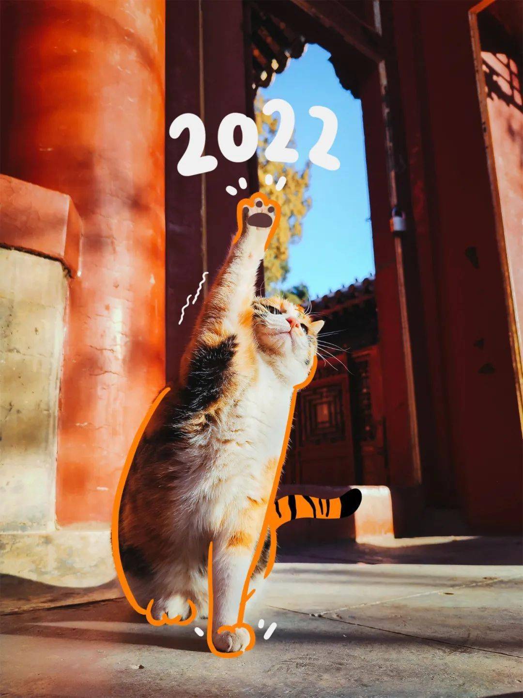 贺岁|顶流明星贺岁,送你全年表情包