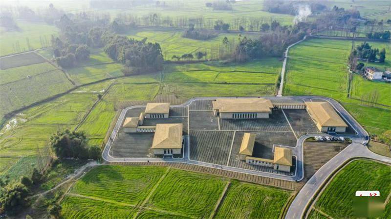 展现4500年前成都平原上的文明曙光宝墩遗址与宝墩文化展今日开展