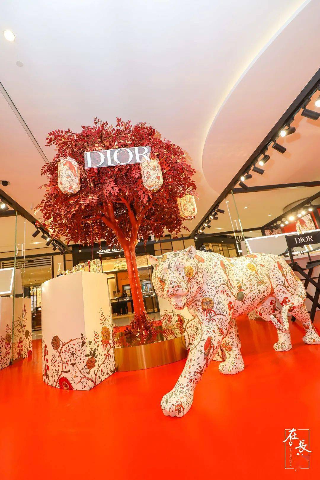 Beauty限时7天，「迪奥花漾新年限时展」惊艳登陆长沙，一同耀启花漾新年！