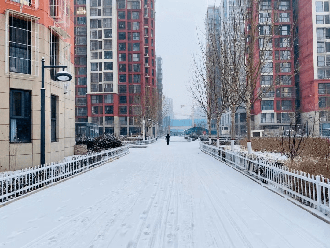 雪後的唐山刷爆了朋友圈!還有一個重要提醒…_行車_電池_曹妃甸