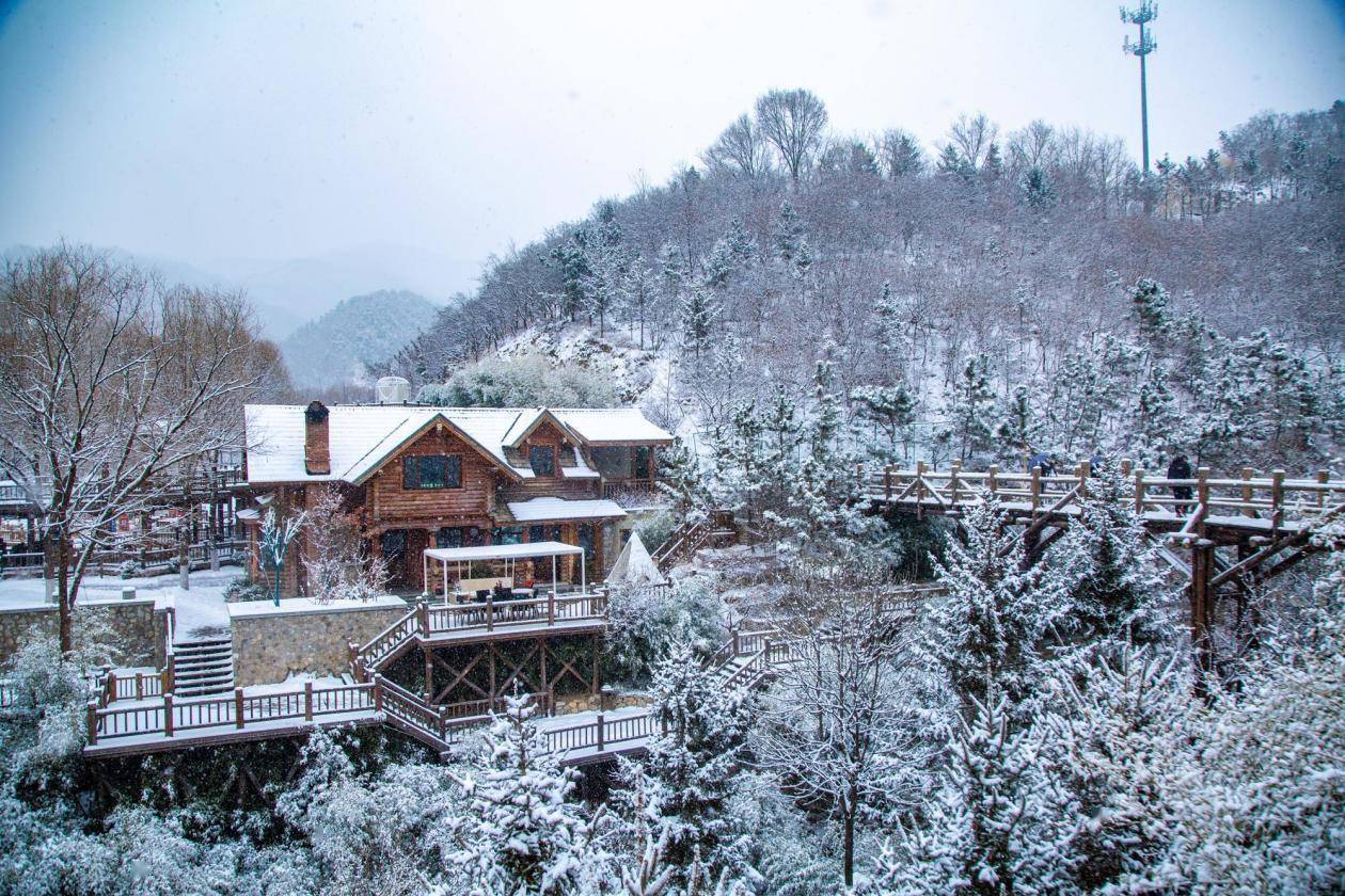 如山|冰雪仙境！ 山东济南九如山迎来降雪