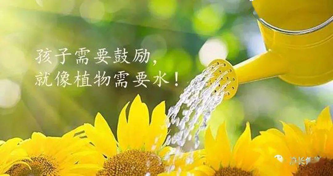 烤地瓜|孩子长大后的愿望是“烤地瓜”？！这位妈妈的回答竟然是……