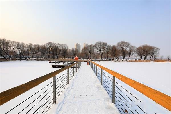 雪景|河北滦南：北河雪景美如画