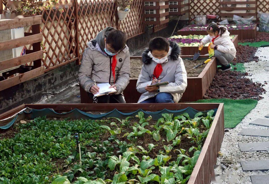 家长|什么样的寒假作业更受欢迎？近六成家长认为……